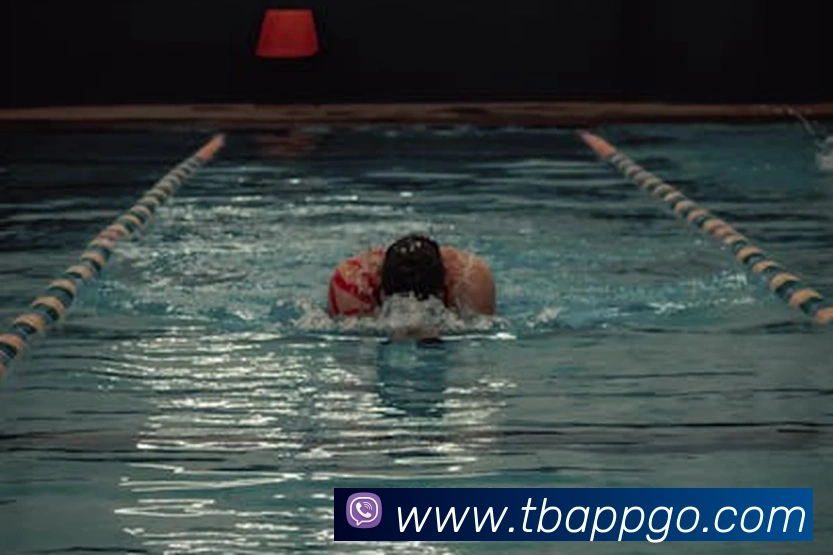 天博体育平台生态图